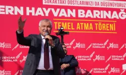 Adana'da Modern Hayvan Barınağı'na ek tesis