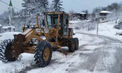 Bursa Gemlik'te karla mücadeleye devam