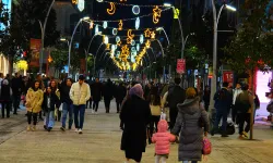 Sakarya'da  Çark Caddesi süslendi