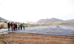 Batman Sason'da çilek üreticilerine ziyaret