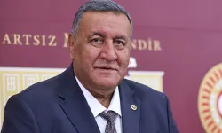 CHP'li Gürer: Zeytinde yeni yol haritası şart