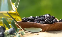 Marmarabirlik üçüncü dilim ödemelere hazırlanıyor... 622 milyon TL ödeme 5 Aralık'ta hesaplarda