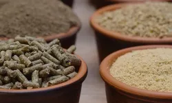 Yem Yönetmeliği'nde değişiklik 'Resmi'leşti... Gıdadan yeme büyük dönüşüm!