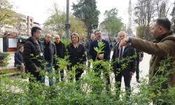 Yeni Cuma Parkı yaz aylarında botanik bahçesine dönüşecek