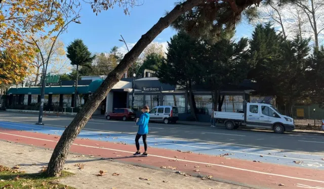 Ordu'da tehlike arz eden ağaçlar için güvenlik çalışması